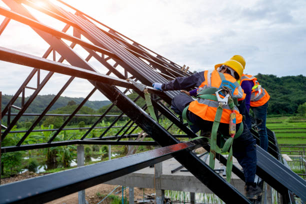 Best Local Roofing Companies  in Heyworth, IL
