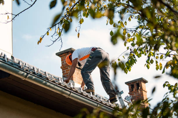 Best Roofing Contractors for Homes  in Heyworth, IL